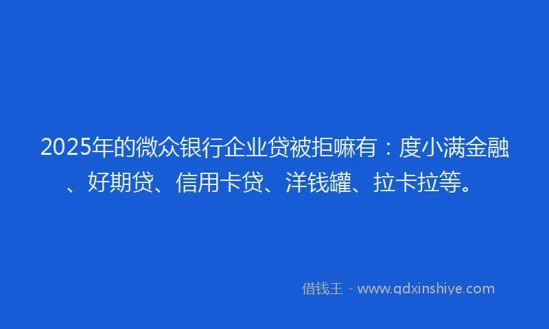 2025年的微众银行企业贷被拒嘛有：度小满金融、好期贷、信用卡贷、洋钱罐、拉卡拉等。