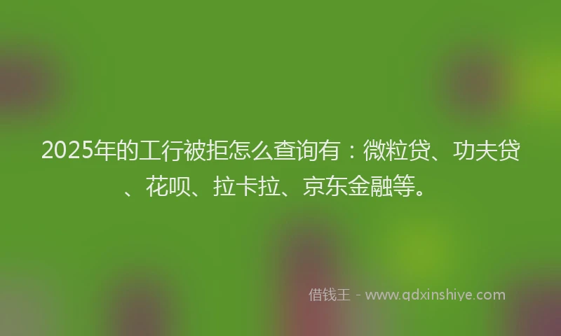 2025年的工行被拒怎么查询有：微粒贷、功夫贷、花呗、拉卡拉、京东金融等。
