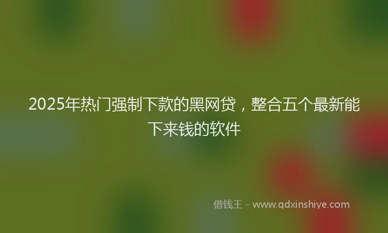 2025年热门强制下款的黑网贷，整合五个最新能下来钱的软件