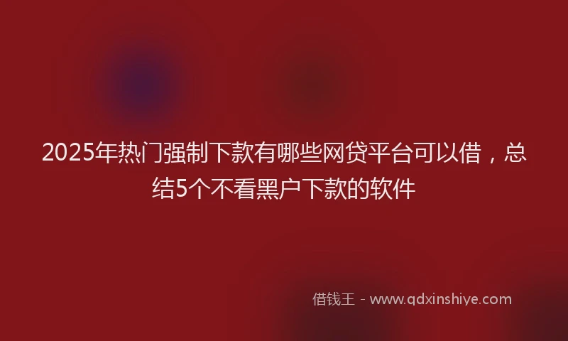 2025年热门强制下款有哪些网贷平台可以借，总结5个不看黑户下款的软件