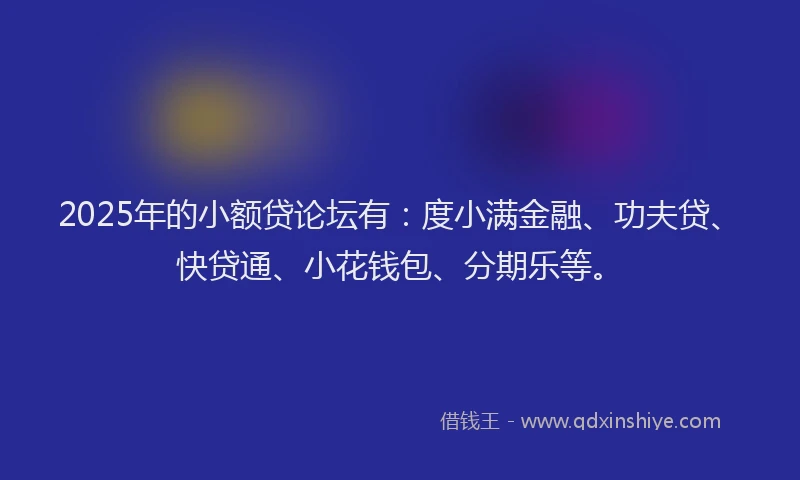 2025年的小额贷论坛有：度小满金融、功夫贷、快贷通、小花钱包、分期乐等。
