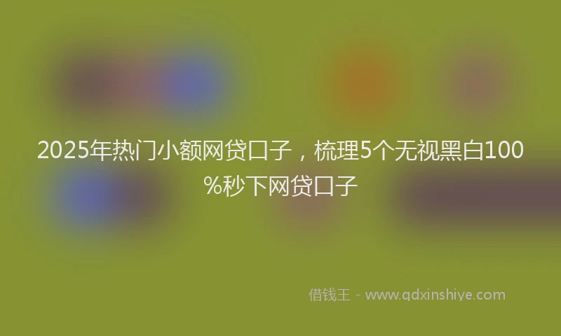 2025年热门小额网贷口子，梳理5个无视黑白100%秒下网贷口子