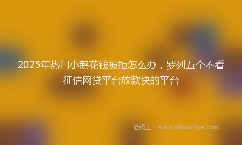 2025年热门小鹅花钱被拒怎么办，罗列五个不看征信网贷平台放款快的平台