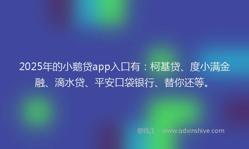 2025年的小鹅贷app入口有：柯基贷、度小满金融、滴水贷、平安口袋银行、替你还等。