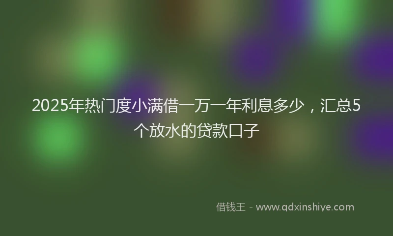2025年热门度小满借一万一年利息多少，汇总5个放水的贷款口子