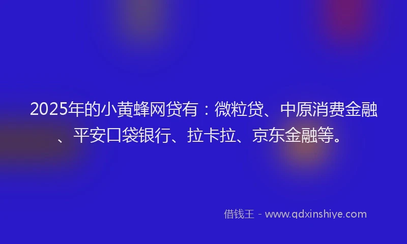2025年的小黄蜂网贷有：微粒贷、中原消费金融、平安口袋银行、拉卡拉、京东金融等。