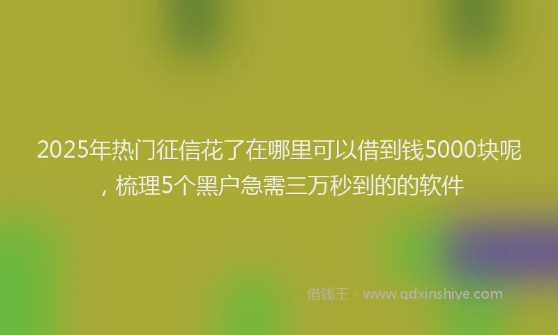 2025年热门征信花了在哪里可以借到钱5000块呢，梳理5个黑户急需三万秒到的的软件