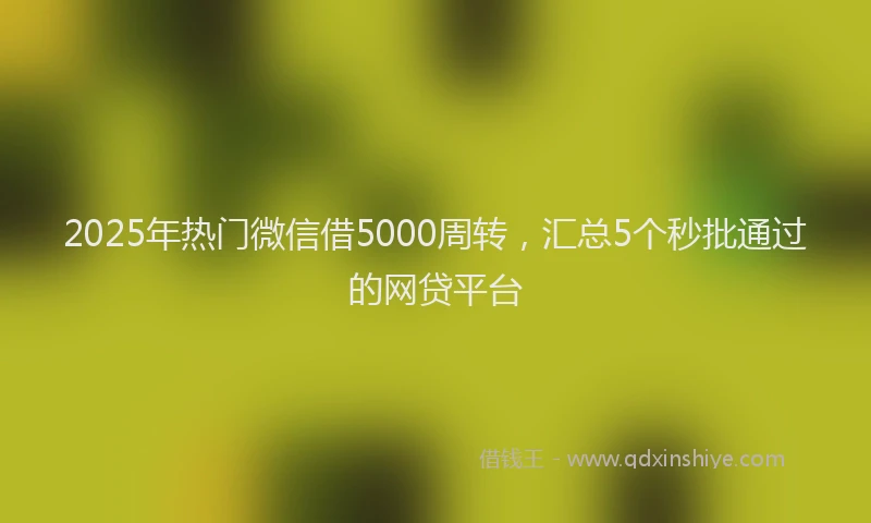 2025年热门微信借5000周转，汇总5个秒批通过的网贷平台