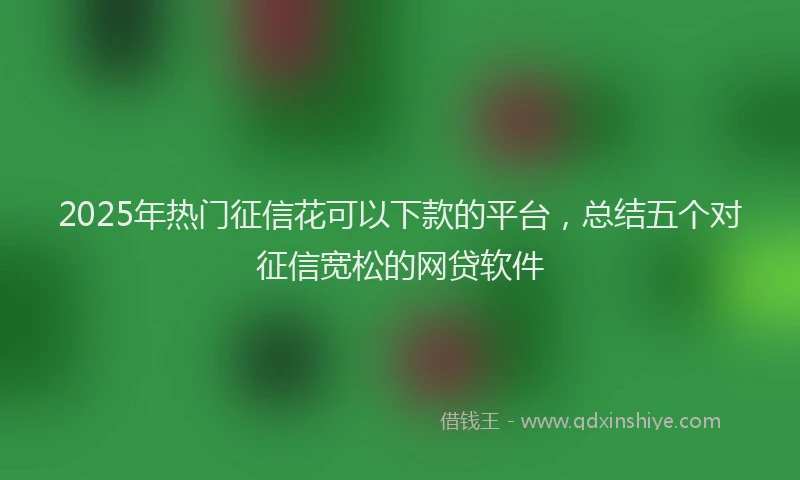 2025年热门征信花可以下款的平台，总结五个对征信宽松的网贷软件