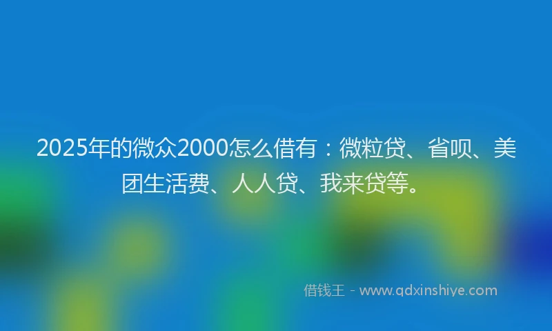 2025年的微众2000怎么借有：微粒贷、省呗、美团生活费、人人贷、我来贷等。