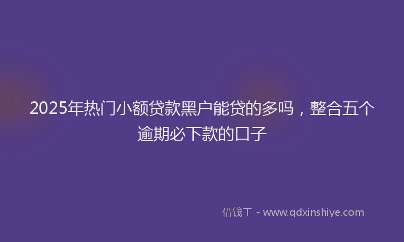 2025年热门小额贷款黑户能贷的多吗，整合五个逾期必下款的口子