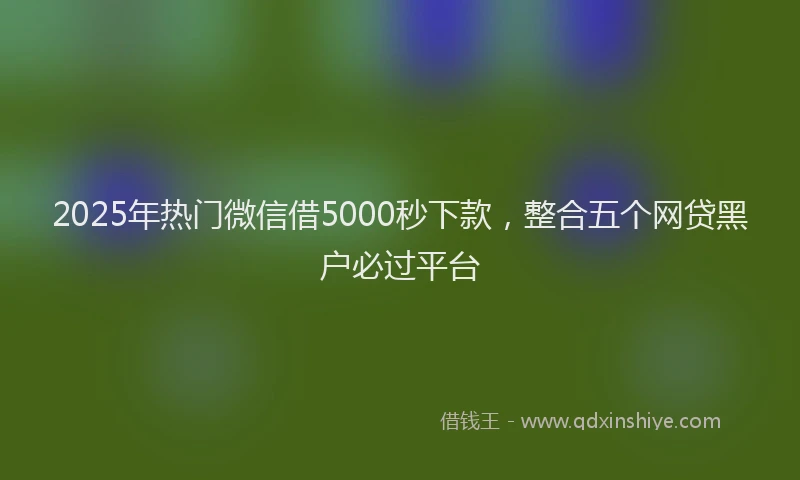 2025年热门微信借5000秒下款，整合五个网贷黑户必过平台