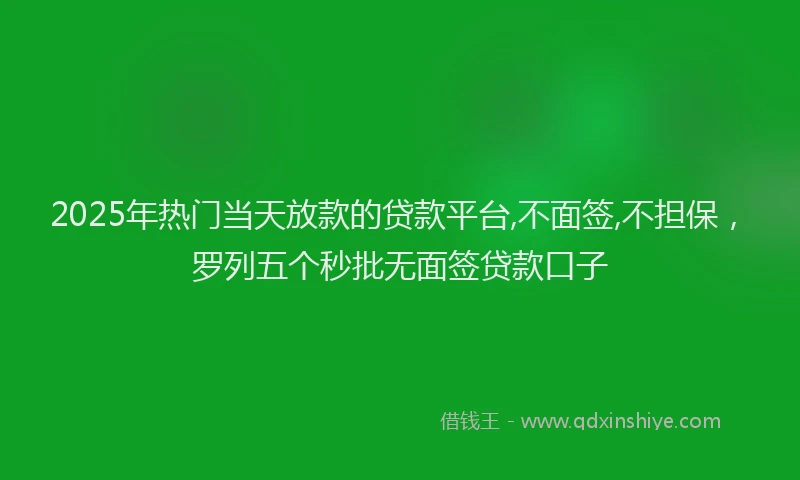 2025年热门当天放款的贷款平台,不面签,不担保，罗列五个秒批无面签贷款口子