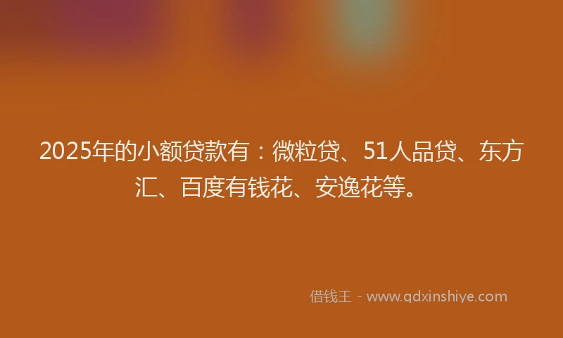 2025年的小额贷款有：微粒贷、51人品贷、东方汇、百度有钱花、安逸花等。