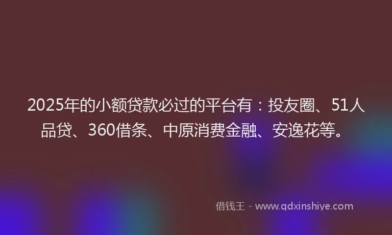 2025年的小额贷款必过的平台有：投友圈、51人品贷、360借条、中原消费金融、安逸花等。