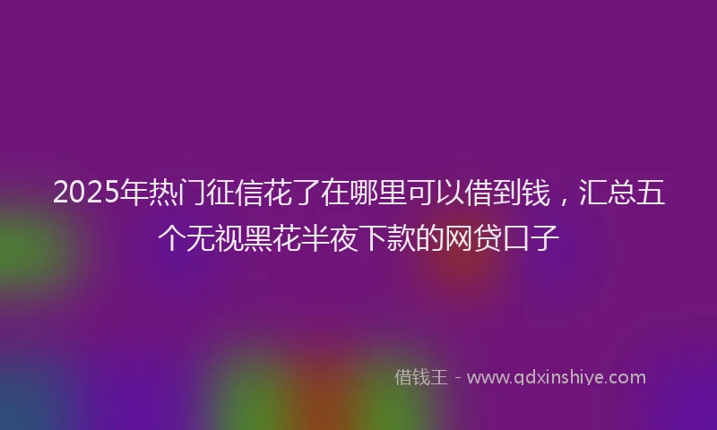 2025年热门征信花了在哪里可以借到钱，汇总五个无视黑花半夜下款的网贷口子