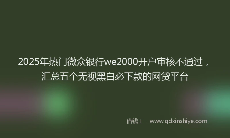 2025年热门微众银行we2000开户审核不通过，汇总五个无视黑白必下款的网贷平台