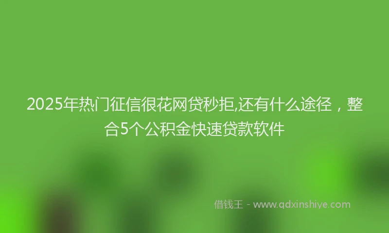 2025年热门征信很花网贷秒拒,还有什么途径，整合5个公积金快速贷款软件