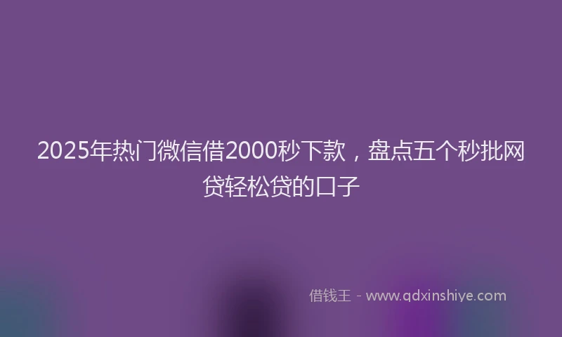 2025年热门微信借2000秒下款，盘点五个秒批网贷轻松贷的口子