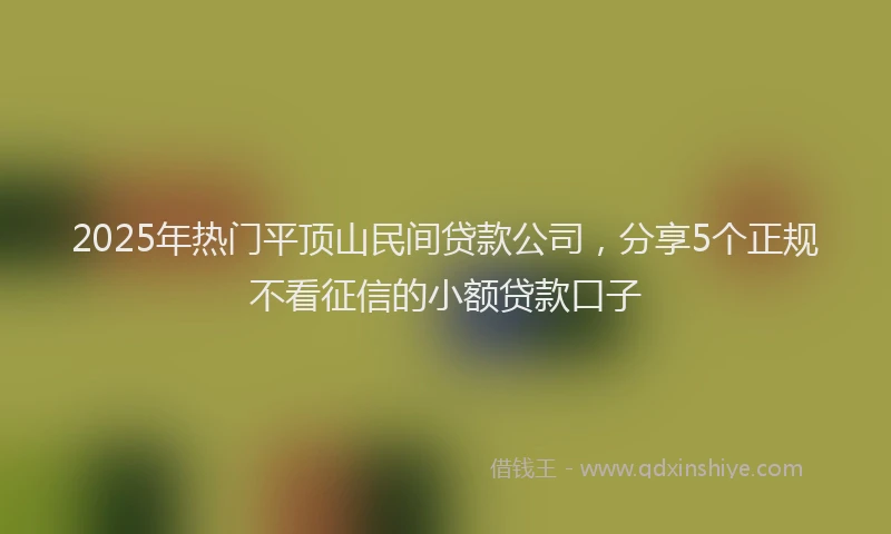 2025年热门平顶山民间贷款公司，分享5个正规不看征信的小额贷款口子