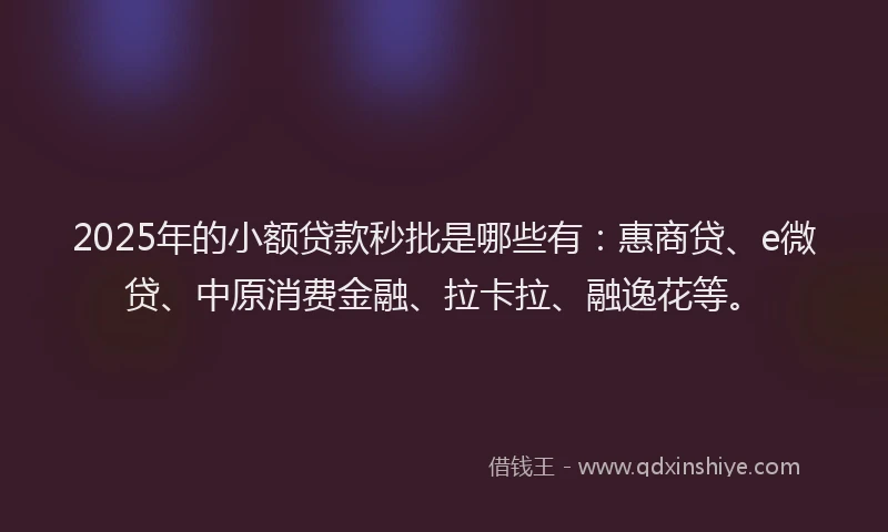 2025年的小额贷款秒批是哪些有：惠商贷、e微贷、中原消费金融、拉卡拉、融逸花等。