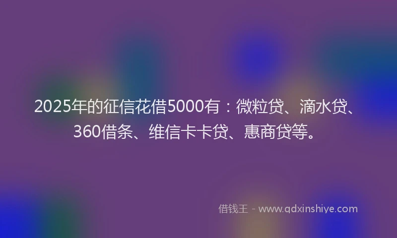 2025年的征信花借5000有：微粒贷、滴水贷、360借条、维信卡卡贷、惠商贷等。