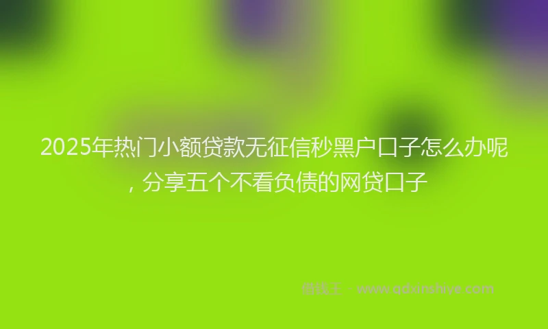2025年热门小额贷款无征信秒黑户口子怎么办呢，分享五个不看负债的网贷口子