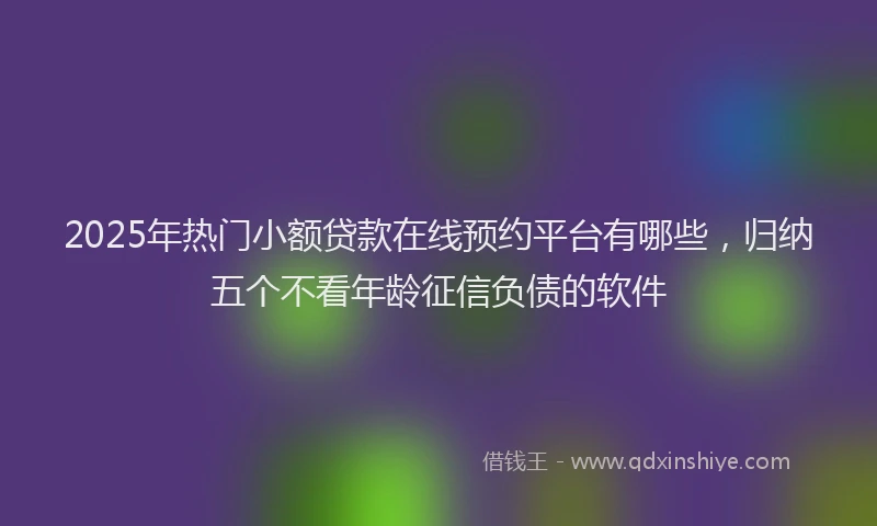 2025年热门小额贷款在线预约平台有哪些，归纳五个不看年龄征信负债的软件