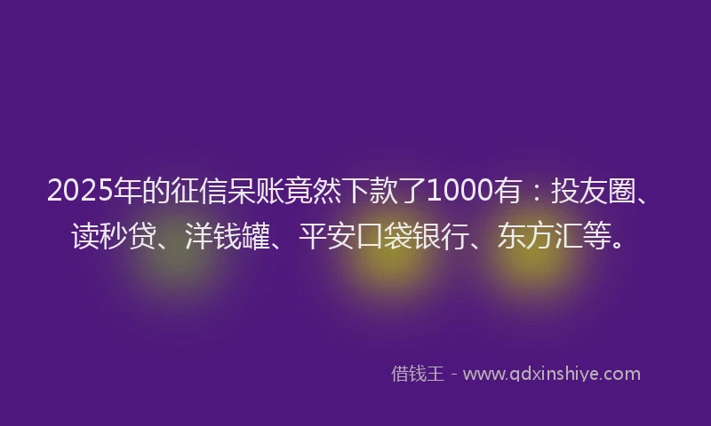 2025年的征信呆账竟然下款了1000有：投友圈、读秒贷、洋钱罐、平安口袋银行、东方汇等。