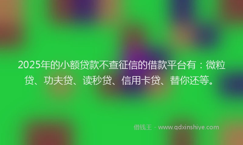 2025年的小额贷款不查征信的借款平台有:微粒贷、功夫贷、读秒贷、信用卡贷、替你还等。