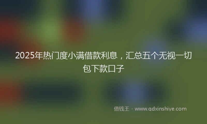 2025年热门度小满借款利息,汇总五个无视一切包下款口子