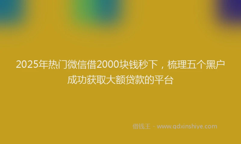 2025年热门微信借2000块钱秒下，梳理五个黑户成功获取大额贷款的平台