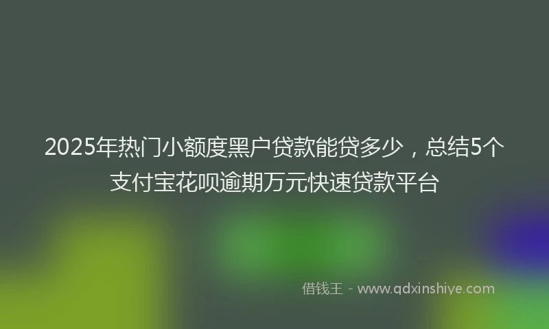 2025年热门小额度黑户贷款能贷多少，总结5个支付宝花呗逾期万元快速贷款平台