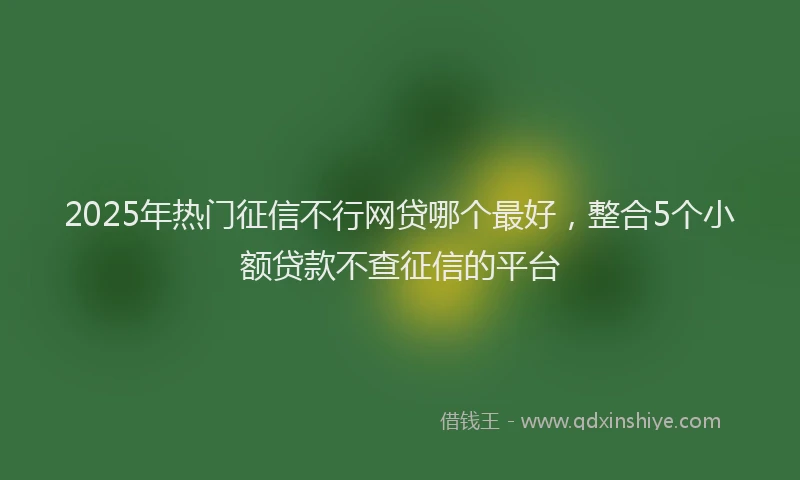 2025年热门征信不行网贷哪个最好，整合5个小额贷款不查征信的平台