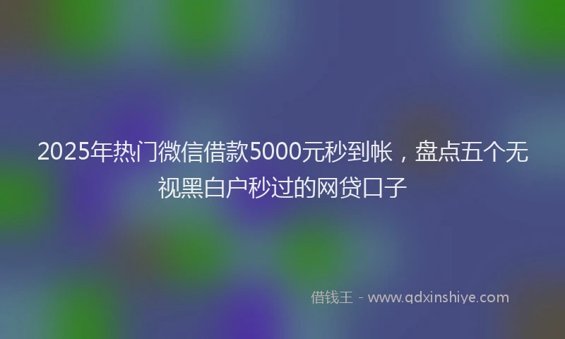 2025年热门微信借款5000元秒到帐，盘点五个无视黑白户秒过的网贷口子