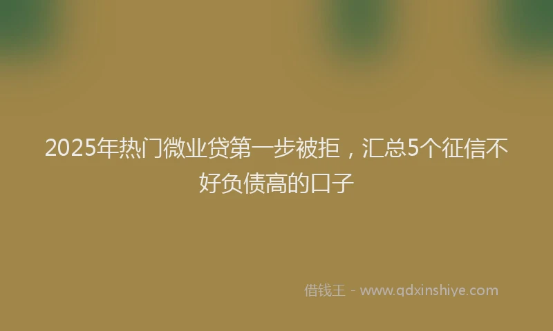 2025年热门微业贷第一步被拒，汇总5个征信不好负债高的口子