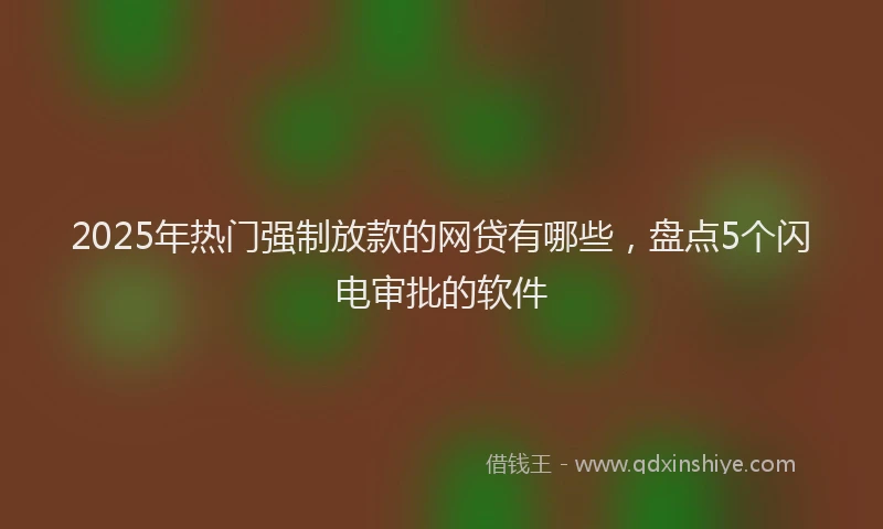 2025年热门强制放款的网贷有哪些，盘点5个闪电审批的软件