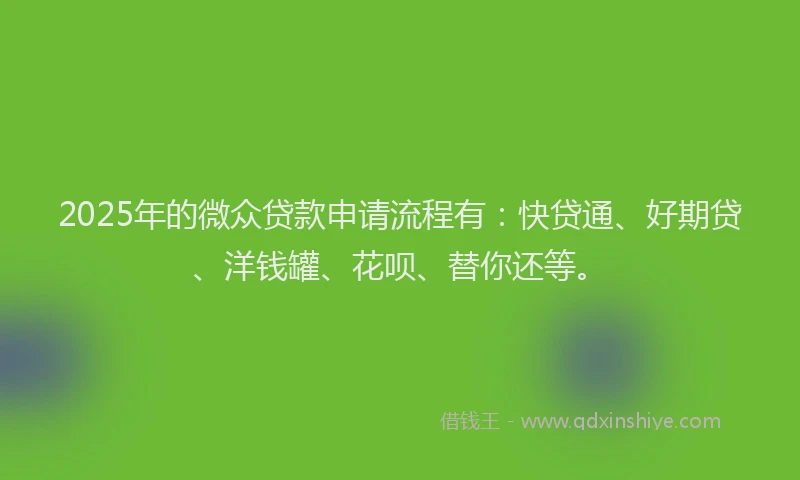 2025年的微众贷款申请流程有：快贷通、好期贷、洋钱罐、花呗、替你还等。