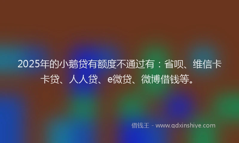2025年的小鹅贷有额度不通过有：省呗、维信卡卡贷、人人贷、e微贷、微博借钱等。