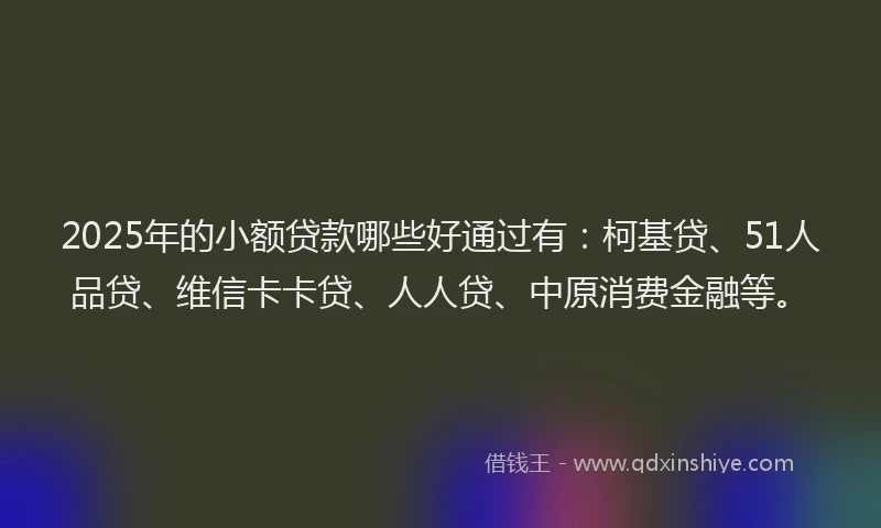 2025年的小额贷款哪些好通过有：柯基贷、51人品贷、维信卡卡贷、人人贷、中原消费金融等。