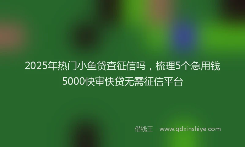 2025年热门小鱼贷查征信吗，梳理5个急用钱5000快审快贷无需征信平台