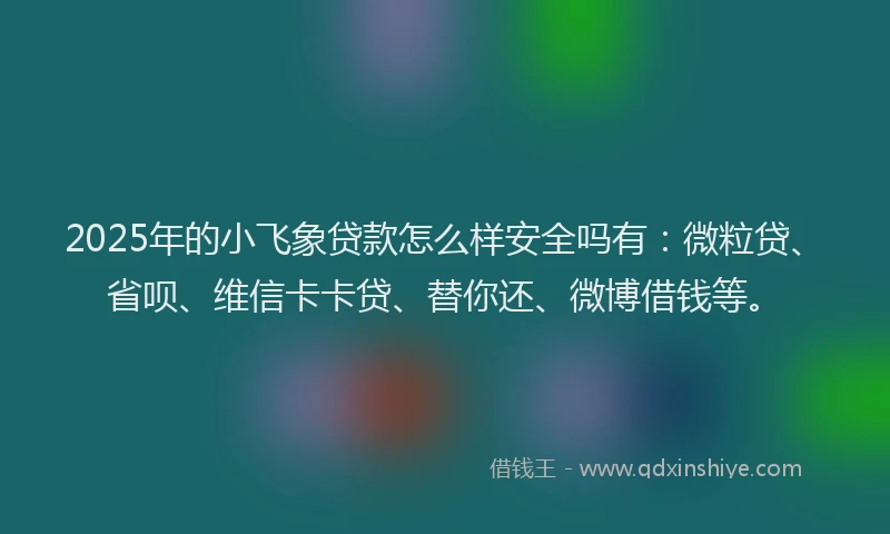 2025年的小飞象贷款怎么样安全吗有：微粒贷、省呗、维信卡卡贷、替你还、微博借钱等。