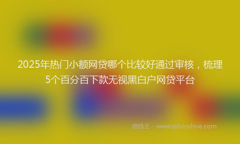 2025年热门小额网贷哪个比较好通过审核，梳理5个百分百下款无视黑白户网贷平台