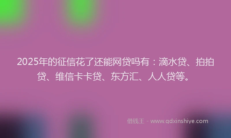 2025年的征信花了还能网贷吗有：滴水贷、拍拍贷、维信卡卡贷、东方汇、人人贷等。