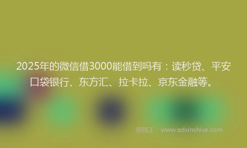2025年的微信借3000能借到吗有：读秒贷、平安口袋银行、东方汇、拉卡拉、京东金融等。