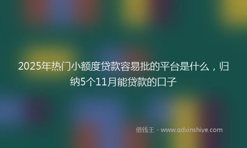 2025年热门小额度贷款容易批的平台是什么，归纳5个11月能贷款的口子
