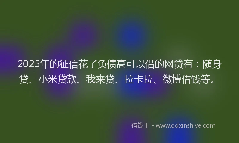 2025年的征信花了负债高可以借的网贷有：随身贷、小米贷款、我来贷、拉卡拉、微博借钱等。