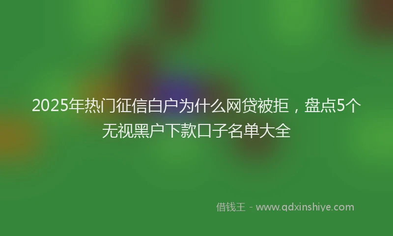 2025年热门征信白户为什么网贷被拒，盘点5个无视黑户下款口子名单大全