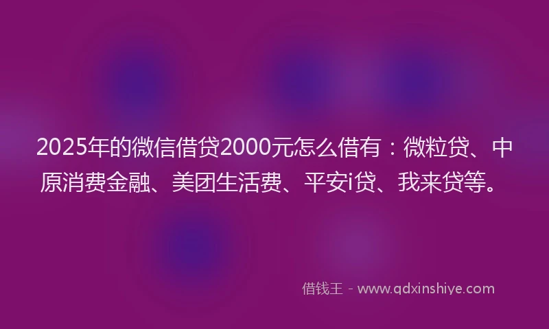 2025年的微信借贷2000元怎么借有：微粒贷、中原消费金融、美团生活费、平安i贷、我来贷等。