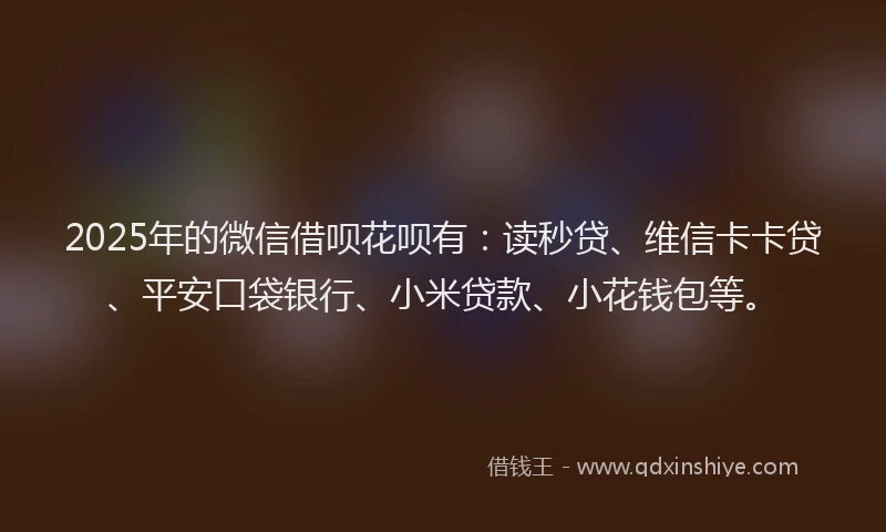 2025年的微信借呗花呗有：读秒贷、维信卡卡贷、平安口袋银行、小米贷款、小花钱包等。